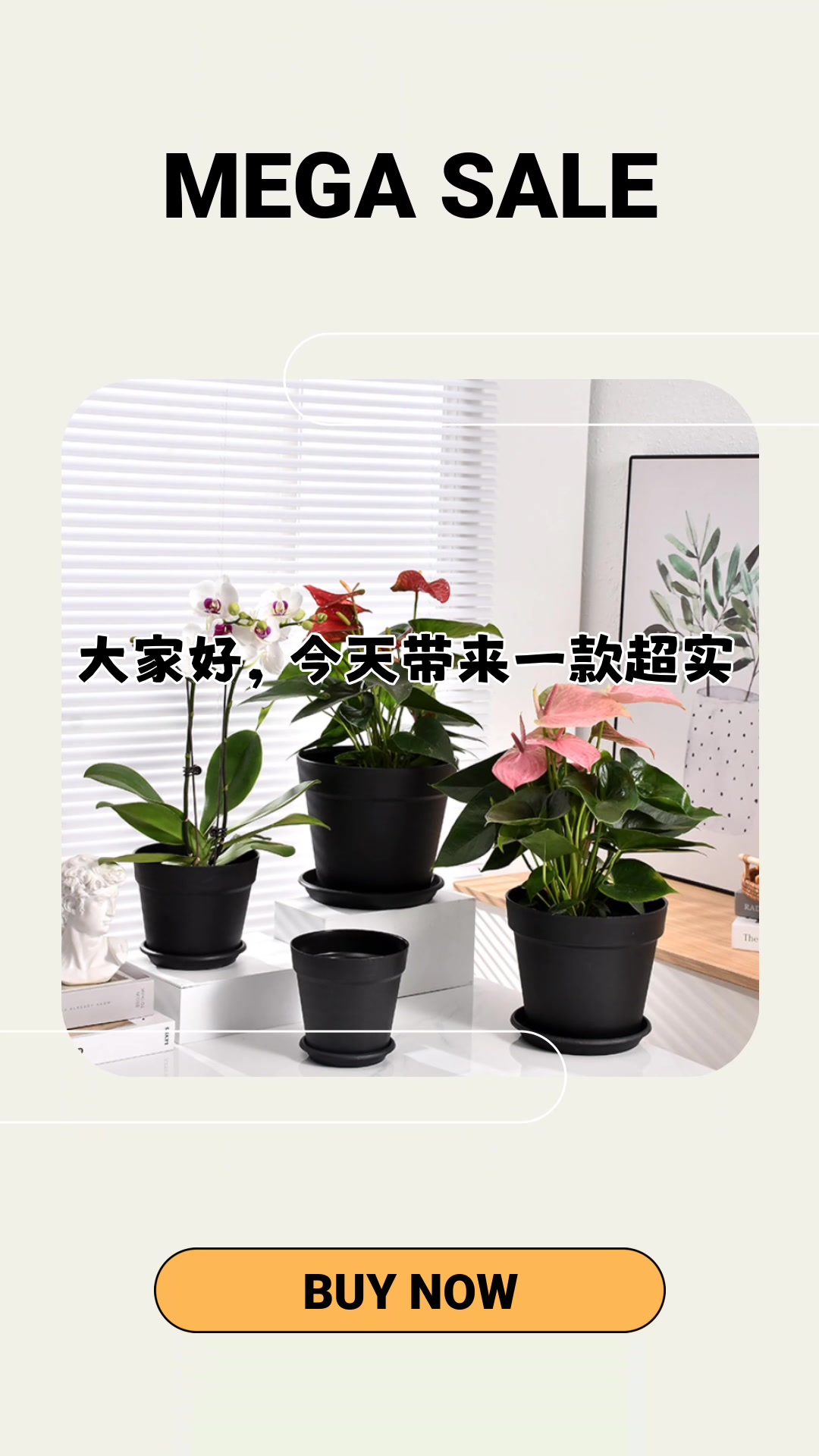 Round large-diameter international flowerpots, black plastic gallon flowerpots, household living room and balcony resin flowerpots wholesale from the manufacturer
